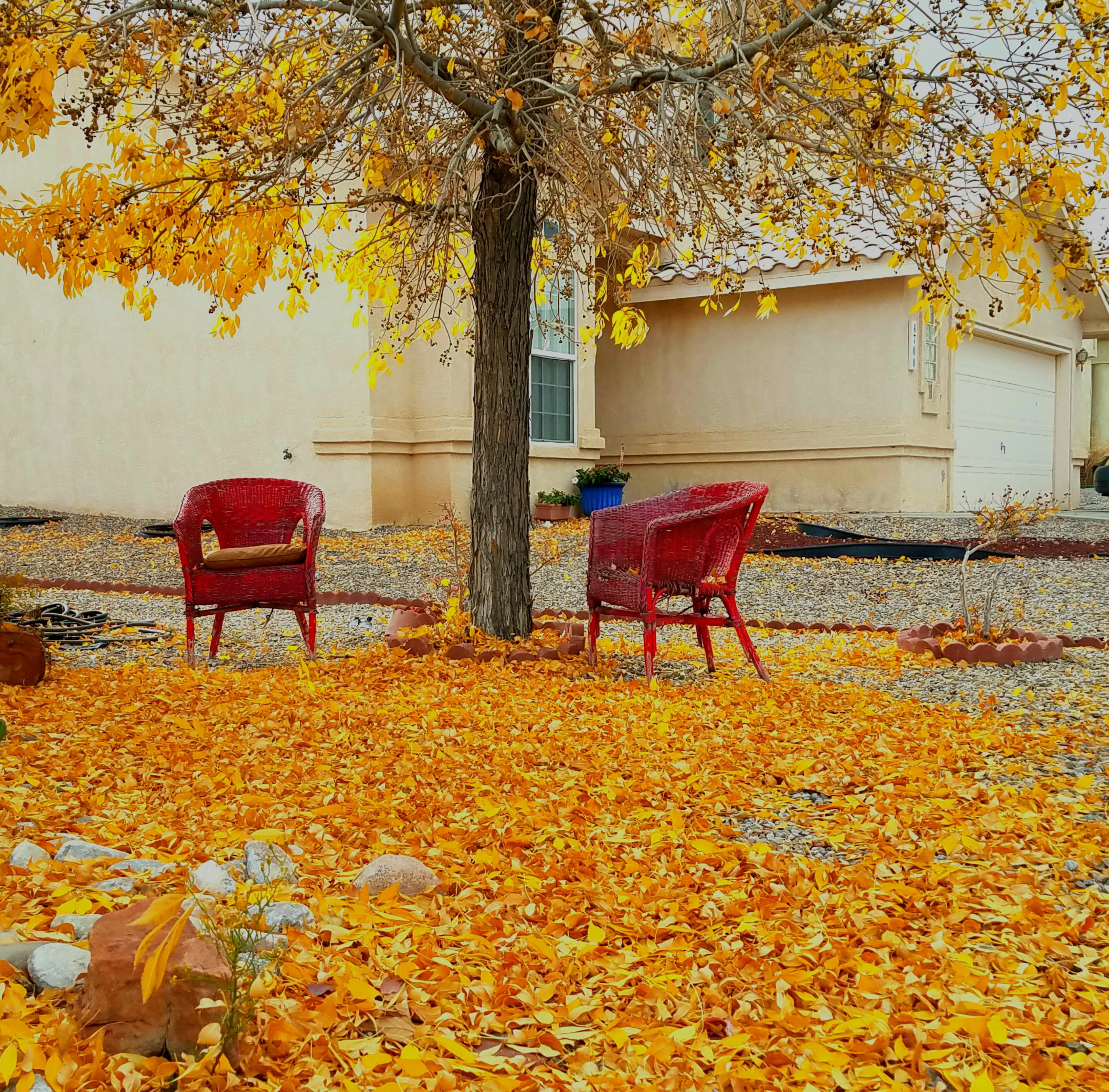 fall in New Mexico